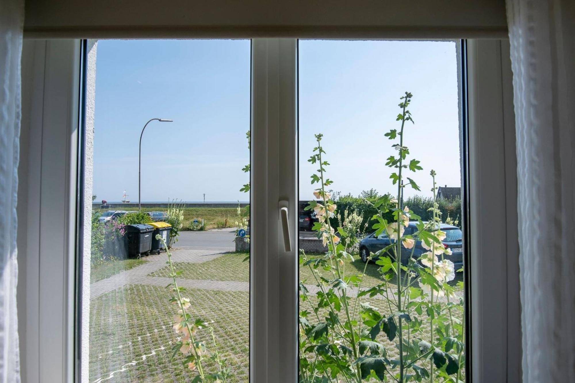 Haus An Der See Seenelke داهم المظهر الخارجي الصورة